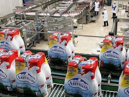 Empaquetado de botellas de leche en la f&aacute;brica de Central Lechera Asturiana en Siero (Asturias).