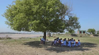 Niños indios estudian a la sombra de un árbol en una escuela dirigida por el Gobierno indio en Jammu.