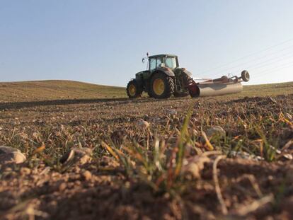 Un tractor trabaja en un campo afectado por la sequía, en Morata de Tajuña (Madrid).