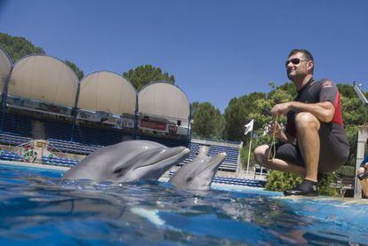 Uno de los entrenadores del Zoo junto a dos de los delfines.
