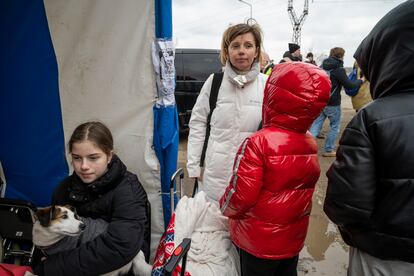 Anna (48 años) es neuróloga y trabajó hasta el 4 de marzo en el hospital de Odesa. Un día después, hizo las maletas y a las seis de la mañana abandonó su casa con tres de sus cuatro hijas (la mayor, de 22, ha huido a Polonia). Nika, de 11 años, sostiene a su perrita. Están cansadas y tienen frío. El conductor que las ha traído a la frontera no pudo avanzar los últimos kilómetros y acabaron el trayecto a Moldavia caminando dos horas. En el punto fronterizo de Palanca (al sur del país) esperan a un familiar que las lleve a la capital, Chisináu. "Nos quedaremos una semana", dice la madre, que espera poder volver pronto a su hogar.