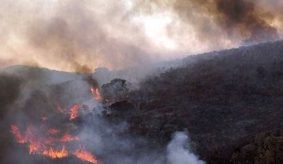 Incendio en las inmediaciones del pantano del Vicario, en una foto de 2005. 