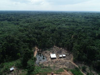 Bosque de la comunidad Centro Arenal deforestada por taladores ilegales, en la región Loreto, en la Amazonia peruana.