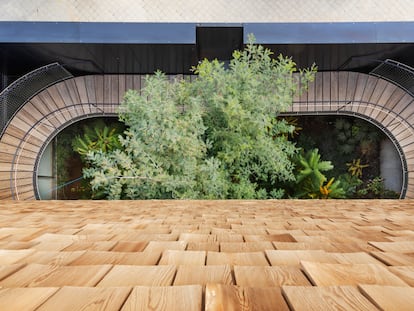 Vista del sótano desde la azotea de la casa, donde se sitúa un jardín de cactus. La casa es un proyecto de los arquitectos María Langarita y Víctor Navarro.