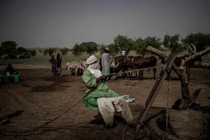 Níger, donde más del 80% de la población vive de la agricultura y especialmente de la ganadería, es el país del Sahel más afectado por los efectos del cambio climático y la subida de las temperaturas. Según las estadísticas nacionales, cada año se pierden entre 100.000 y 120.000 hectáreas de tierras debido a la desertificación y la erosión del suelo.
