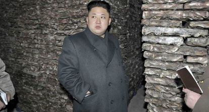 Esta foto sin fecha muestra a Kim Jong-un en una planta de productos  acu&aacute;ticos.
