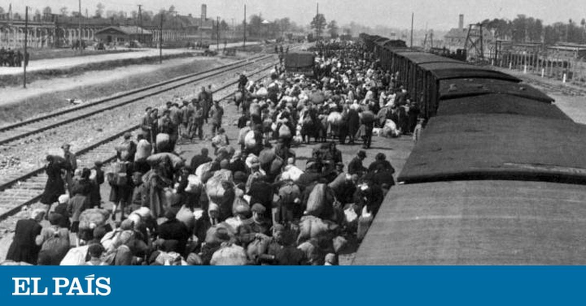 El Historiador Que Cambió La Forma De Comprender El Holocausto ...