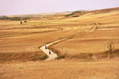 Ciclistas atravesando la planicie burgalesa, en el Camino Francés.