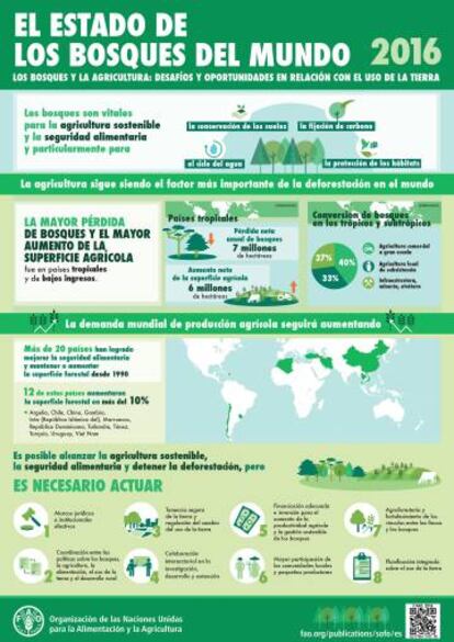 Infografía del informe sobre el estado mundial de los bosques de 2016.