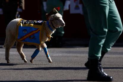 Un carnero, mascota de la Legión, acompaña a los efectivos de la fuerza militar durante el desfile del Día de la Fiesta Nacional. 