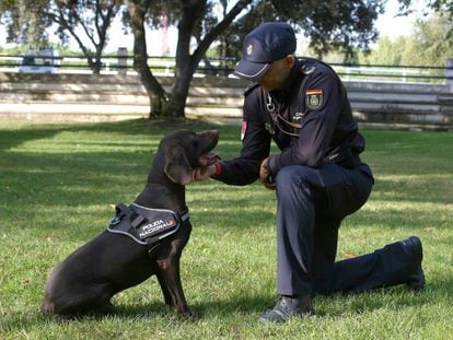 El policía Fernando Espada y su perro Leo, en el Área de Seguridad Ciudadana.