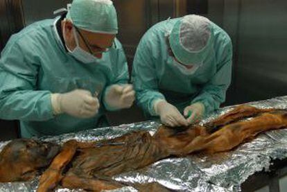 Dos investigadores toman muestras del cuerpo de Ötzi