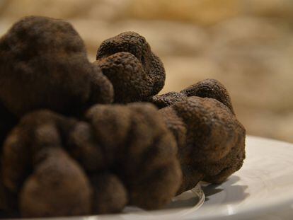 Trufas negras, la perversión del gusto, Gastronotas de Capel