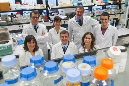 La Fundación Mutua Madrileña ha destinado este año 2,3 millones de euros a la investigación médica en España. Entre otras ayudas, destaca una convocatoria extraordinaria para impulsar proyectos relacionados con el tratamiento del Covid-19.
