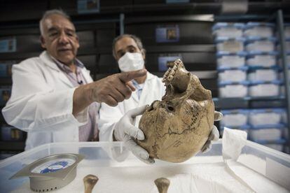 El antropólogo José Concepción Jiménez muestra la dentadura de La mujer del Peñón, el humano más antiguo de América con 12.700 años. Las piezas dentales muestran un gran deterioro porque eran usados para elaborar instrumentos.