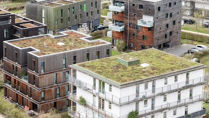 Techos verdes en los edificios nuevos del distrito Wilhelmsburg de Hamburgo.