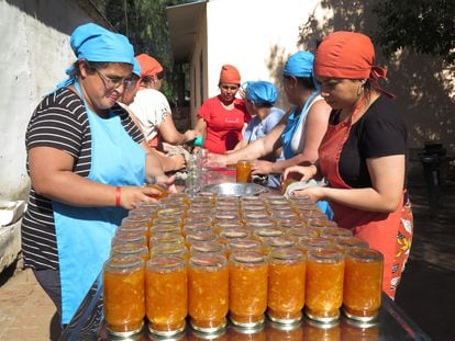 Vecinas del vecindario de El Barrial, en la ciudad cordobesa de San José (Argentina), envasan mermelada elaborada con frutos que ellas mismas han cosechado.
