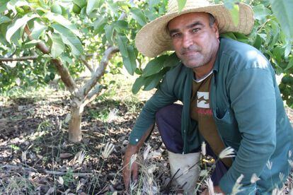 El agricultor Inacio Medeiros en su finca de guayaba de Cruzeta