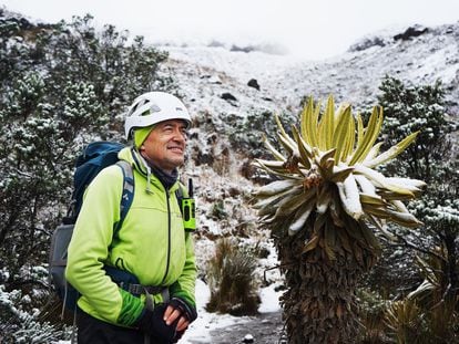 El geógrafo Jorge Luis Ceballos durante la ascensión al glaciar Conejeras. A su derecha, un frailejón, la planta típica del páramo colombiano.