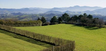 Fincas rurales en el norte de España.