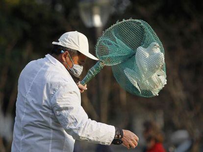 Un operario recoge palomas en Shangh&aacute;i.