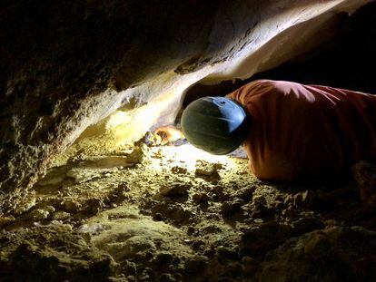 Un arqueólogo trabaja en la sima La Cerrosa-Lagaña, donde se hallaron los restos del guerrero.