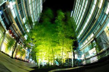 Bosque de bambú urbano en el complejo comercial Tokyo Midtown, en el distrito tokiota de Roppongi.