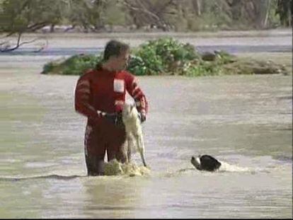 60 desalojados por la crecida del Guadalquivir en Córdoba