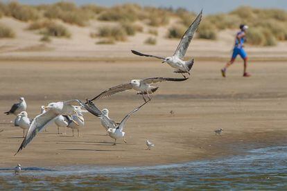 Carrera de triatlón en el Parque Nacional de Doñana