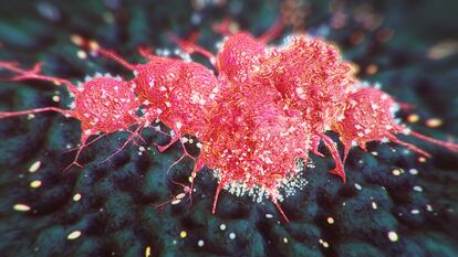 Las nuevas herramientas para combatir el cáncer más letal