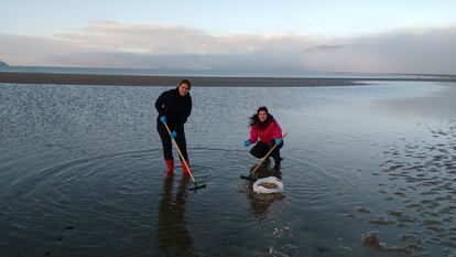 Las biólogas Seila Díaz y Alicia L. Bruzos, en una jornada de recogida de berberechos en la ría de Noia (A Coruña), en 2019.