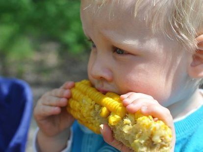 Los m&aacute;s peque&ntilde;os tambi&eacute;n pueden comer s&oacute;lidos no triturados.