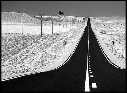 'Fargo', del sevillano Felipe Rodríguez.