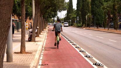 Un ciclista en uno de los carriles bici de Castellón.