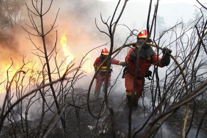 Dos bomberos trabajan en la extinción del incendio de Arbo (Pontevedra).