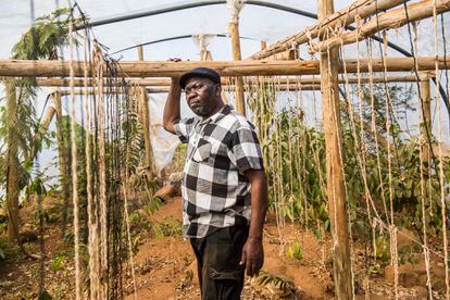 Marcus Murabi, agricultor, solía enviar su cosecha a la empresa Limpopo Tobacco Processors.