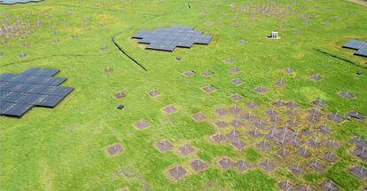 Vista aérea de las antenas del telescopio LOFAR.