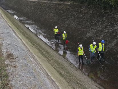 Operarios de Endesa efect&uacute;an trabajos de limpieza en el canal de Ser&oacute;s.