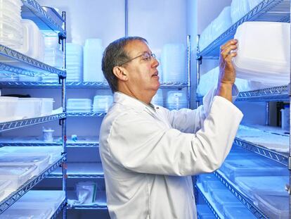 Anthony James, de la Universidad de California en Irvine, lleva toda su vida profesional investigando la manera de erradicar la malaria.