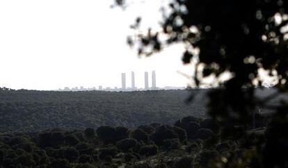 Vista de las cuatro torres de la Castellana desde El Garzo.