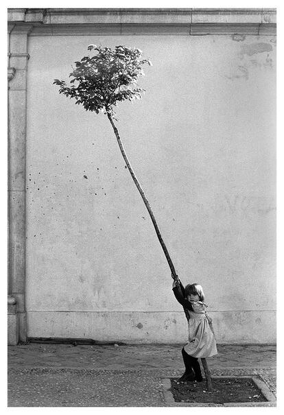 'Girl and tree'.  Spain, 1981.
