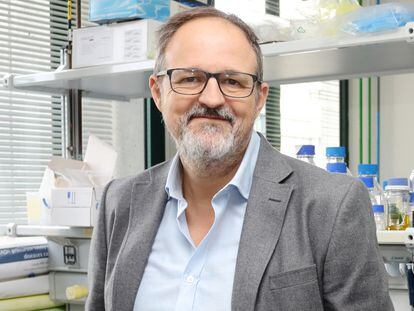 Guillermo López Lluch, catedrático del área de Biología Celular, en su despacho de la Universidad Pablo de Olavide.