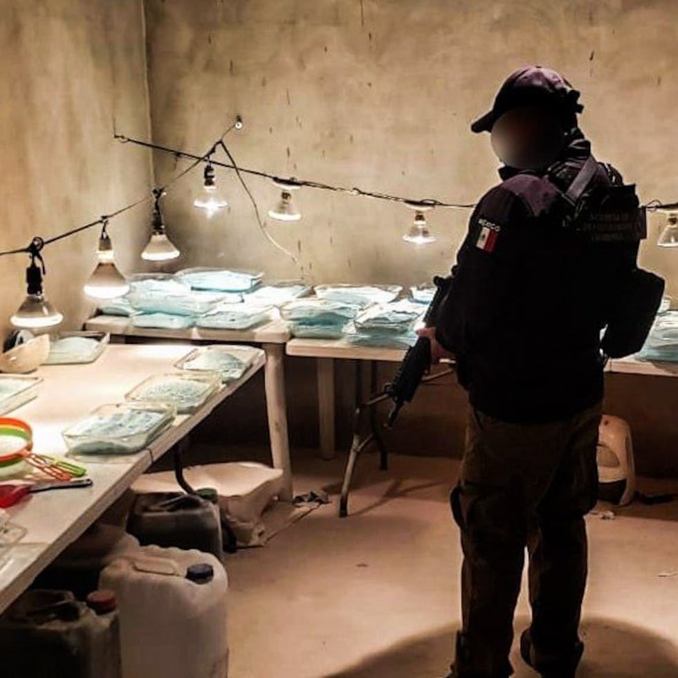 México es el paraíso mundial de los 'mercados criminales' | Economía | EL  PAÍS México