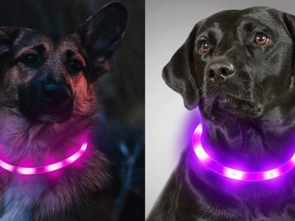 Dos ejemplos de los collares luminosos para perros que hemos probado. JOY TALE/AMAZON.