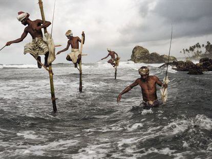 Pescadores en la Costa Sur de Sri Lanka, en  Weligama. Subidos a postes de madera de tres o cuatro metros y con una barra perpendicular,  denominada &lsquo;petta&rsquo;, en la que se sientan, pescan arenques y caballas. 