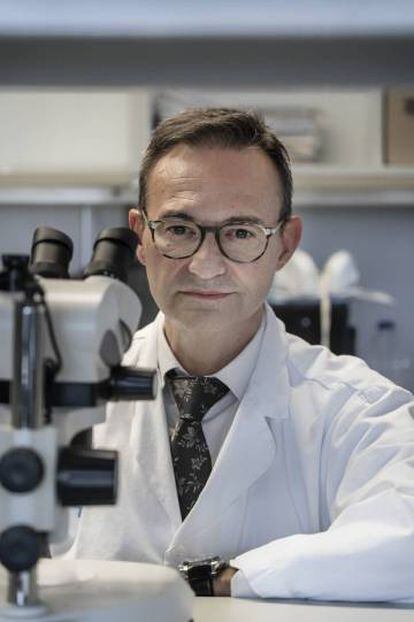 El neuròleg Luis Brieva treballa a l'Hospital Arnau de Vilanova i a l'Institut de Recerca Biomèdica de Lleida (IRBLleida).