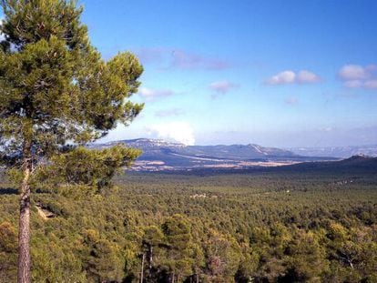 El bosque de La Hunde en el t&eacute;rmino municipal de Ayora, Valencia.