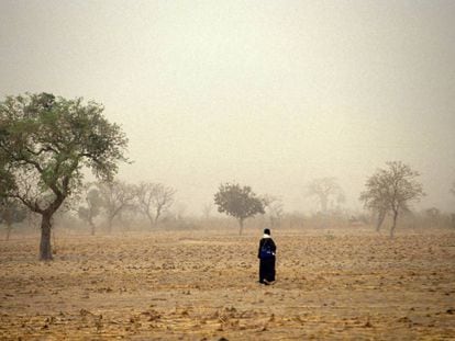 Un hombre camina por los campos en Malí.