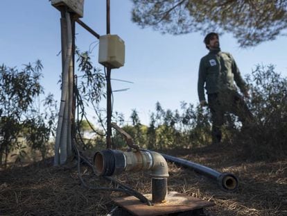 Uno de los pozos ilegales que rodean al espacio protegido de Doñana.