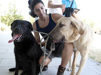 Una voluntaria con dos perros abandonados en el Centro Integral de Acogida de Animales. 
